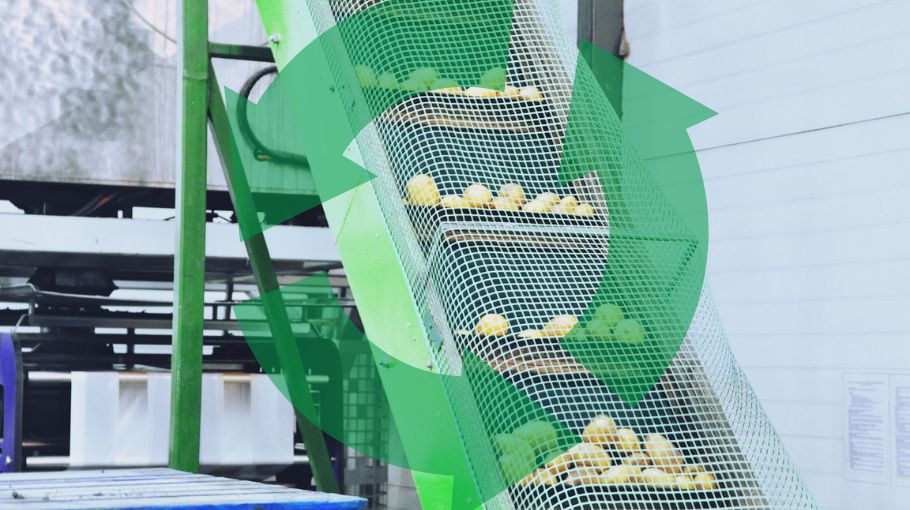 Productielijn aardappelen