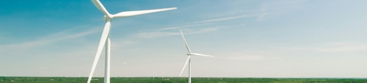 landschap met windmolen