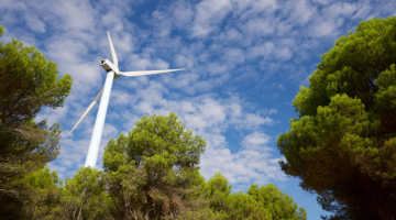 windmolen