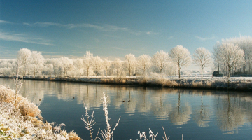 winter aan de Schelde
