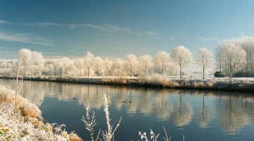winter aan de Schelde